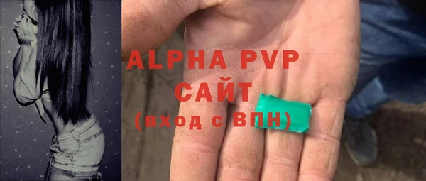 прущие грибы Алзамай