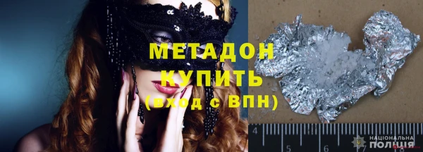 прущие грибы Алзамай
