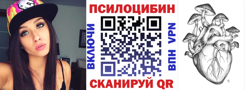 Псилоцибиновые грибы Psilocybe купить наркотики цена Яхрома